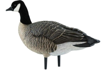 Image of Avian X Outfitter Pack AXF Lessers Decoy, AVX-AVX9033