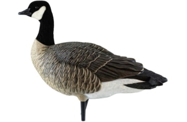 Image of Avian X Outfitter Pack AXF Lessers Decoy, AVX-AVX9033