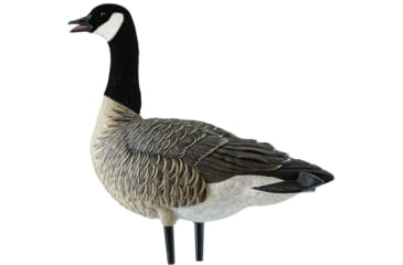 Image of Avian X Outfitter Pack AXF Lessers Decoy, AVX-AVX9033