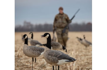 Image of Avian X Outfitter Pack AXF Lessers Decoy, AVX-AVX9033