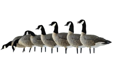 Image of Avian X Outfitter Pack AXF Lessers Decoy, AVX-AVX9033