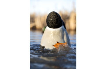 Image of Avian X Power Butt Kicker Duck Decoy
