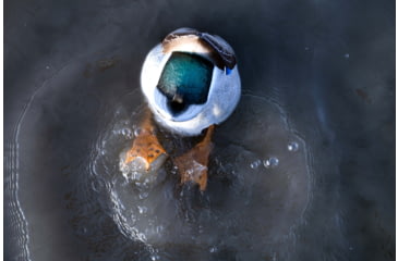 Image of Avian X Power Butt Kicker Duck Decoy