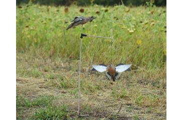 Image of Avian X Powerflight Robo Dove Decoy with Spinning Wings, AVXAVXDP102