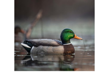 Image of Avian X Topflight Fusion Mallards Decoy, AVX-AVX8076
