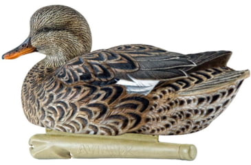 Image of Avian X Topflight Gadwall Decoy, AVX-AVX8085