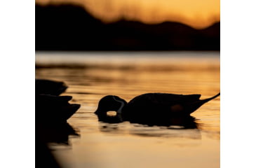 Image of Avian X Topflight Pintails Decoy, AVX-AVX8082