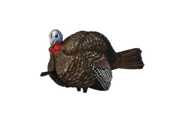 Image of Avian X Turkey Decoy 1/2 Strut Jake, Black, FG-DCOY-68012