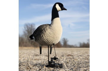 Image of Avian X X-Factor Decoy Motion System, Black, AVX-XFDMS
