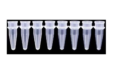 Image of Axygen PCR Tube Strips and Cap Strips, Axygen Scientific PCR-0208-B Strips Of Eight Tubes