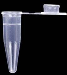 Image of Axygen PCR Tubes, Axygen Scientific PCR-02-Y 0.2 Ml Tubes With Flat Caps