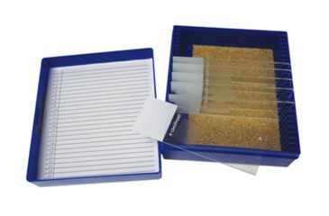 Image of Azer Scientific Control SLIDE, Alcian Blue ESCS-104