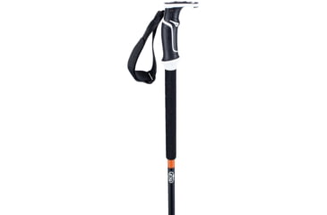 Image of Backcountry Access Scepter 135 Pole, Raw, C200501001135