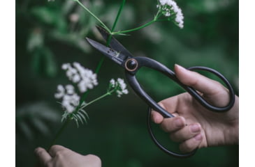 Image of Barebones Artisan Pruning Shears, Stainless steel, GDN-049