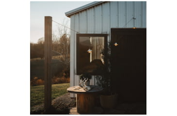 Image of Barebones Edison String Lights