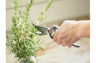 Image of Barebones Pruner, Metal, 8in x 2.95in x 1.25in, GDN-051