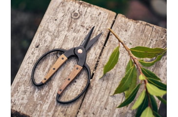 Image of Barebones Small Scissors, Wooden Handle, 2in Heat-Treated Stainless Steel Blade, GDN-059