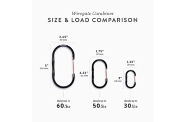 Image of Barebones Wiregate Carabiner, Small, 3 Pack, Black, STC-620