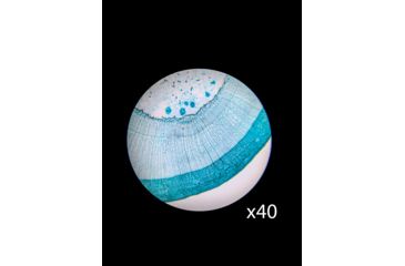 Image of Barska Student Monocular Compound 40-640x Microscope, White AY13286