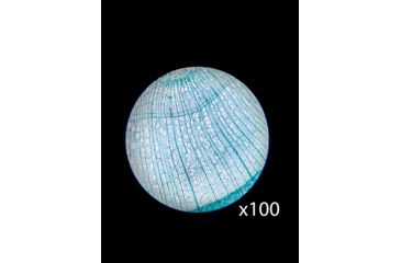 Image of Barska Student Monocular Compound 40-640x Microscope, White AY13286