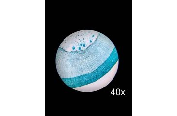 Image of Barska Student Monocular Compound 800x Microscope, White, Small AY13110