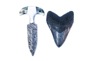 Image of Battling Blades Shark Tooth High Carbon Damascus Bone Handle - Knife, 5759035474082