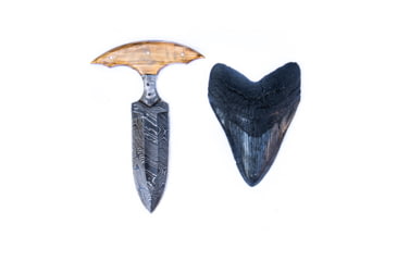 Image of Battling Blades Shark Tooth High Carbon Damascus Steel Outdoors Blade Knife, 14in, 5758996578466