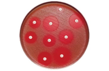 Image of BD Minocycline PK-10CART 30MCG 231251