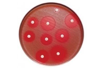 Image of BD BBL Sensi-Disc Antimicrobial Susceptibility Test Discs, BD Diagnostic Systems 231666 Cefmetazole