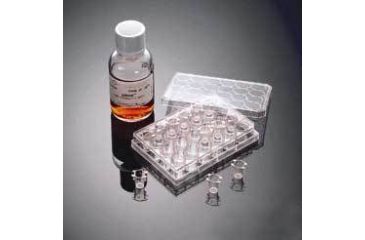 Image of BD BioCoat Matrigel Invasion Chambers, BD Biosciences 354480 Bd Matrigel Invasion Chambers