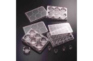 Image of BD BioCoat Variety Pack Inserts and Multiwell Plates, BD Biosciences 354656 Cultureslides