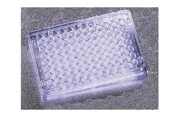 Image of BD Falcon 96-Well Cell Culture Plates, BD Biosciences 351177 Plates With Untreated Surface, Sterile