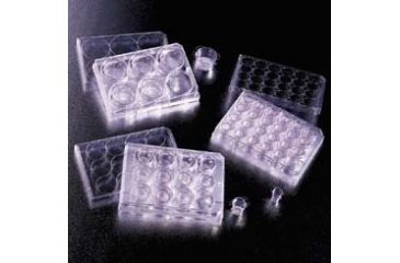 Image of BD Falcon Cell Culture Inserts, Sterile, BD Biosciences 353102 Transparent Inserts