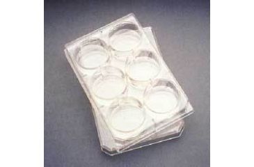 Image of BD Falcon Multiwell Flat-Bottom Plates with Lids, Sterile, BD Biosciences 353043