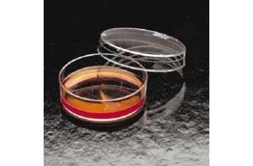 Image of BD Falcon Tissue Culture Dishes, Polystyrene, Sterile, BD Biosciences 353001 Easy Grip Culture Dishes