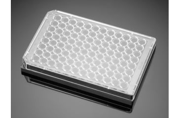 Image of BD Plate Amine 96-well Black/clea 356717, Unit CS