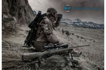 Image of Sig Sauer BDX System