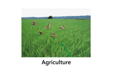 Image of Beamshot High Power Laser Bird Repellent Tool, Black, BR400