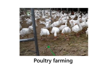 Image of Beamshot High Power Laser Bird Repellent Tool, Black, BR400