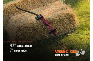 Image of Bear Archery Flash Bow Set, Red 16-24 in. 5-18 lbs. RH/LH, AYS500RD
