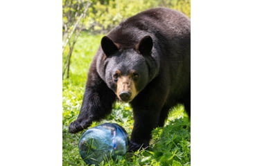 Image of BearVault Jaunt Bear Resistant Food Canister, Transparent Blue, 1.9 Gal, BV450