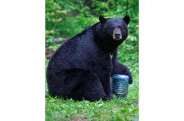 Image of BearVault Journey Bear Resistant Food Canister, Transparent Blue, 3 Gal, BV500
