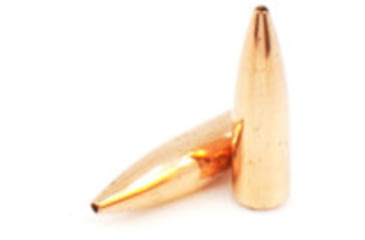 Image of Berger 22 cal 60 gr FB Varmint, 100 Pk, 22312