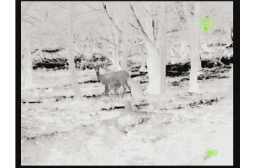 Image of Bering Optics Prodigy 348 1.0x25 Thermal Monocular W/2x-4x Digital Zoom and Wi-Fi , 348x256, Black, BE43125