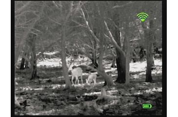 Image of Bering Optics Prodigy 348 1.0x25 Thermal Monocular W/2x-4x Digital Zoom and Wi-Fi , 348x256, Black, BE43125