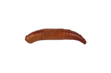 Image of Berkley Gulp! Floating Pinched Crawler Soft Bait Lures, 2in, 6 Pack, Gulp w/Garlic, Nightcrawler, 1237302