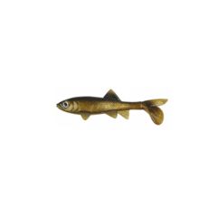 Image of Berkley Havoc Sick Fish Bait, 5.5in., Gold Nugget 178387