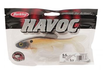 Image of Berkley Havoc Sick Fish Bait, 5.5in., Tennessee Shad 178392