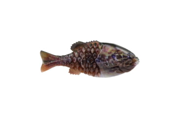 Image of Berkley PowerBait Gilly Soft Bait, HD Warmouth, 90, 1546054