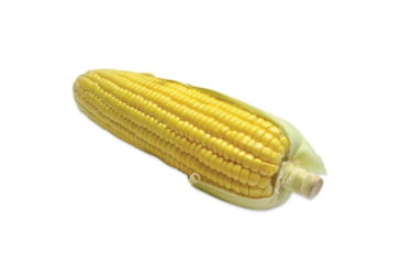 Image of Berrys Manufacturing Corn Media 20 lb. 5 Gallon Bucket, 77925